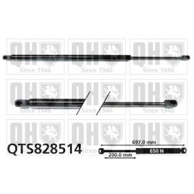 Achetez des Vérin de coffre QUINTON HAZELL QTS828514 à prix pour 23,74 €