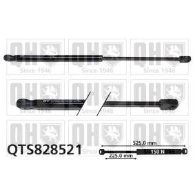 Heckklappendämpfer QTS828521