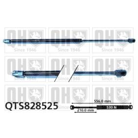 Heckklappendämpfer QTS828525 von QUINTON HAZELL günstig für 30,39 € online kaufen