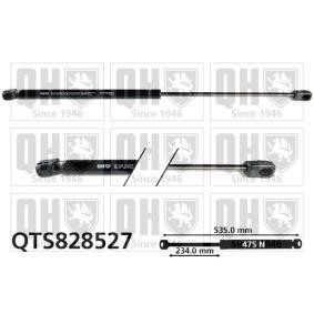 Achetez des Vérin de coffre QUINTON HAZELL QTS828527 à prix pour 35,40 €