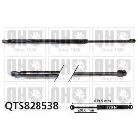 Achetez des Vérin de coffre QUINTON HAZELL QTS828538 à prix pour 28,03 €