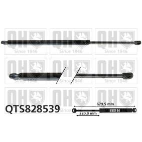 Achetez des Vérin de coffre QUINTON HAZELL QTS828539 à prix pour 28,03 €