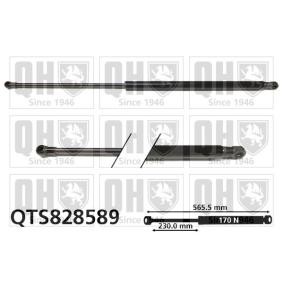Heckklappendämpfer QTS828589 von QUINTON HAZELL günstig für 109,24 € online kaufen