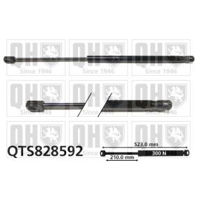 Achetez des Vérin de coffre QUINTON HAZELL QTS828592 à prix pour 34,13 €