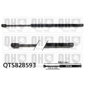 Achetez des Vérin de coffre QUINTON HAZELL QTS828593 à prix pour 21,30 €
