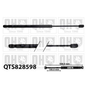 Heckklappendämpfer QTS828598 von QUINTON HAZELL günstig für 26,15 € online kaufen