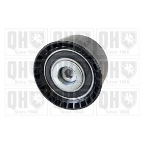 Comprar Polea de inversión y guía, correa de distribución de QUINTON HAZELL QTT1325 a bajo precio de 77,43 €
