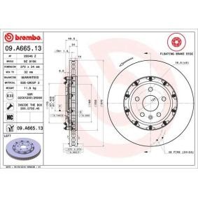 Bremsscheibe 09.A665.13