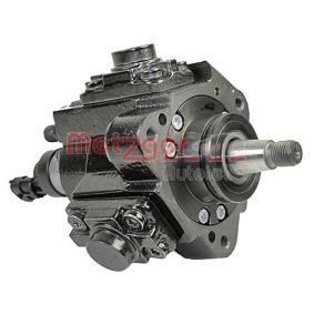 Achetez des Pompe à injection METZGER 0830055 à prix pour 847,51 €