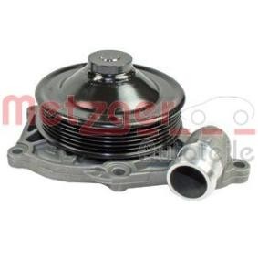 Achetez des Pompe à eau METZGER 4007025 à prix pour 231,87 €