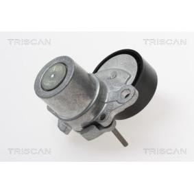 Comprar Brazo tensor, correa poli V de TRISCAN 8641 293055 a bajo precio de 94,04 €