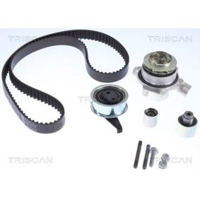 Achetez des Kit de distribution + pompe à eau TRISCAN 8647 290512 à prix pour 533,88 €