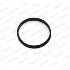 Ansaugkrümmerdichtung von PAYEN für B3 (F30) günstig online kaufen