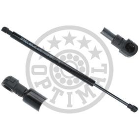 Heckklappendämpfer AG-40396