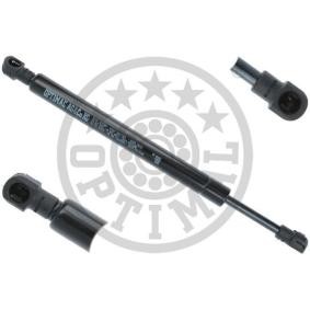 Heckklappendämpfer AG-40406