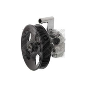 Servopumpe 27506