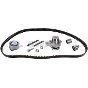 Achetez des Kit de distribution + pompe à eau SWAG 30 10 4866 à prix pour 347,99 €