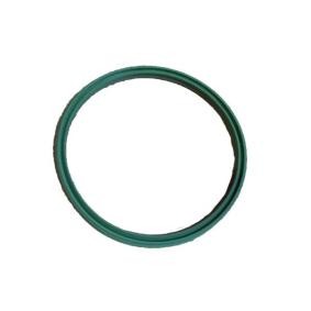 Dichtring, Ladeluftschlauch von BUGIAD günstig für 6,02 €