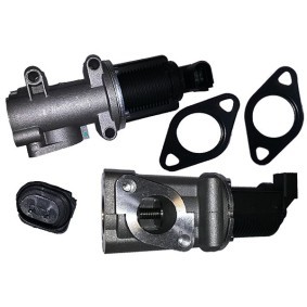 Comprar Válvula EGR de BUGIAD BGR13033 a bajo precio de 73,83 €