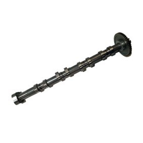 Acquista Albero a camme da BUGIAD BSP25220 a buon mercato per soli 301,67 €