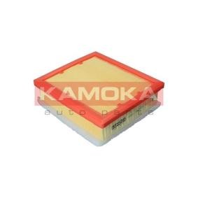 Luftfilter F238001