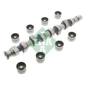 Acquista Kit albero a camme da INA 428 0048 30 a buon mercato per soli 238,63 €