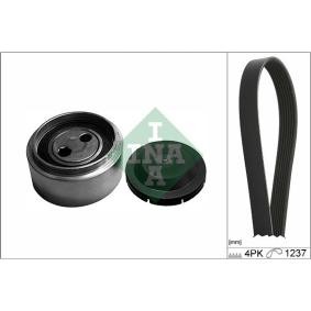 Acquista Kit Cinghie Poly-V da INA 529 0087 10 a buon mercato per soli 50,43 €
