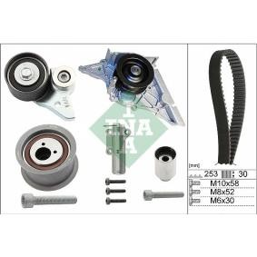 Achetez des Kit de distribution + pompe à eau INA 530 0366 30 à prix pour 331,34 €