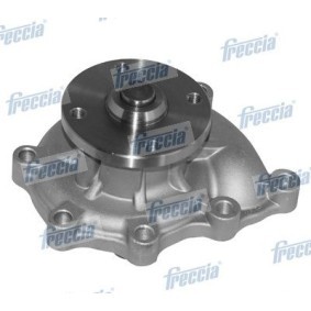 Osta Vesipumppu FRECCIA:llä WP0289 edullisesti hintaan 52,05 €