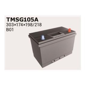 Achetez des Batterie IPSA TMSG105A à prix pour 155,81 €
