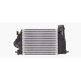 Kjøp Intercooler av AVA COOLING SYSTEMS DN4458 til den lave prisen 2995,48 NOK