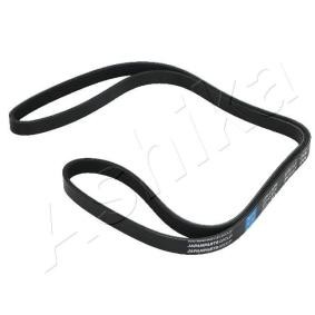 Achetez des Courroie Poly-V ASHIKA 112-5PK1720 à prix pour 17,80 €