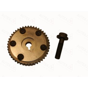 Nockenwellenversteller 718073