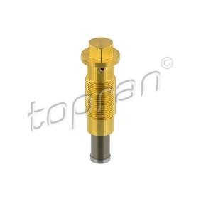 Steuerkettenspanner 408 963