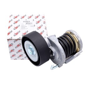 Comprar Tensor de correa poli V de AUTOMEGA 210156210 a bajo precio de 43,04 €
