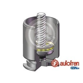 Achetez des Piston, étrier de frein AUTOFREN SEINSA D02554RK à prix pour 20,57 €