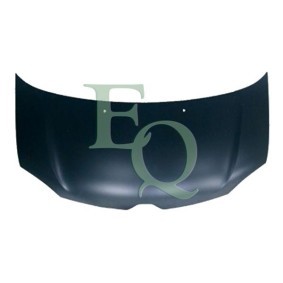 Achetez des Capot EQUAL QUALITY L03180 à prix pour 217,54 €