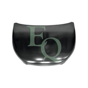 Motorhaube L06062