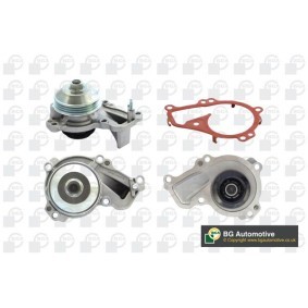Achetez des Pompe à eau BGA CP1401 à prix pour 106,90 €