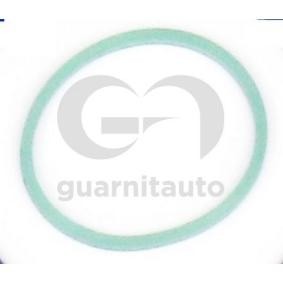 Ansaugkrümmerdichtung von GUARNITAUTO