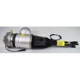 Acquista Ammortizzatore pneumatico da Dunlop DAS10120 a buon mercato per soli 980,30 €