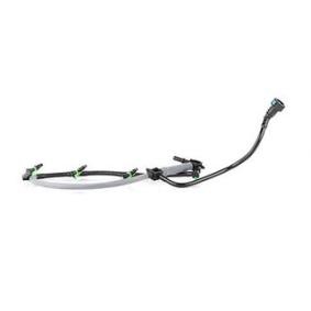 Achetez des Tuyau, carburant de fuite BSG BSG 30-725-088 à prix pour 50,89 €