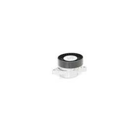 Comprar Tensor de correa poli V de BSG BSG 60-615-020 a bajo precio de 65,43 €