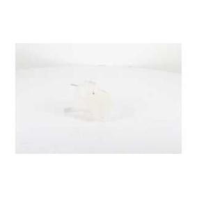 Osta Nestesäiliö, jäähdytysneste BSG:llä BSG 65-550-015 edullisesti hintaan 77,37 €
