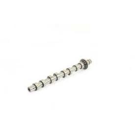 Achetez des Arbre à came BSG BSG 70-108-004 à prix pour 89,19 €