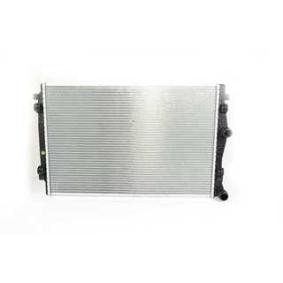 Kjøp Radiator, motorkjøling av BSG BSG 90-520-019 til den lave prisen 2730,23 NOK