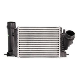 Köp Intercooler av THERMOTEC DA1005TT till det låga priset 1401,77 kr