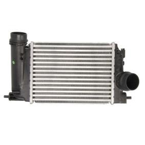 Köp Intercooler av THERMOTEC DA1006TT till det låga priset 3017,63 kr