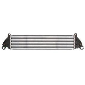 Köp Intercooler av THERMOTEC DA3003TT till det låga priset 2634,86 kr