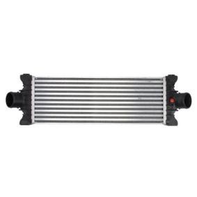 Köp Intercooler av THERMOTEC DAG017TT till det låga priset 1531,95 kr